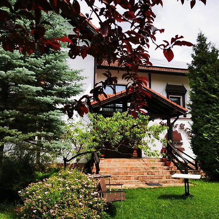 Pensiunea Muntele Rece Bran (Brasov) Exterior foto