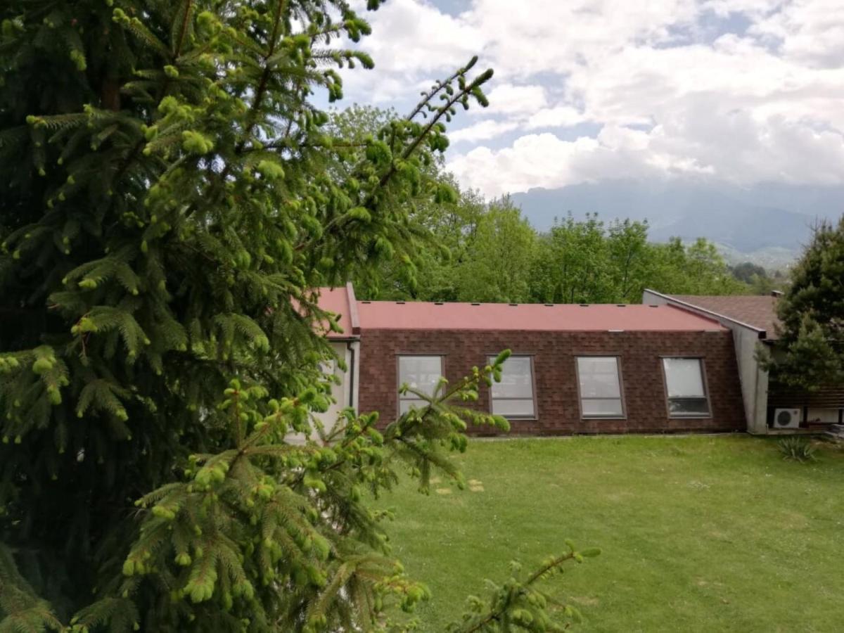 Pensiunea Muntele Rece Bran (Brasov) Exterior foto