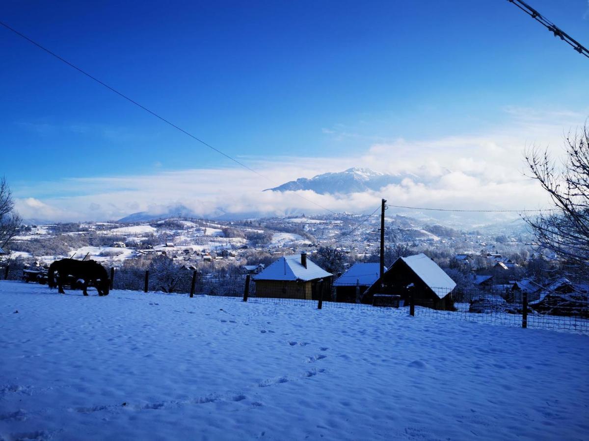 Pensiunea Muntele Rece Bran (Brasov) Exterior foto