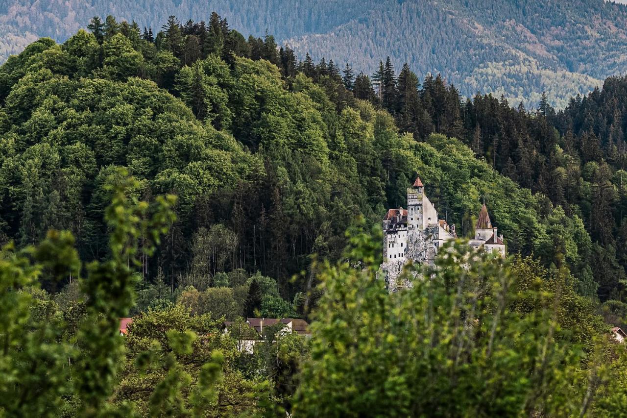 Pensiunea Muntele Rece Bran (Brasov) Exterior foto