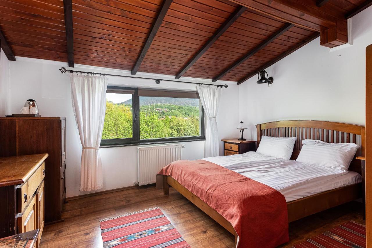 Pensiunea Muntele Rece Bran (Brasov) Exterior foto